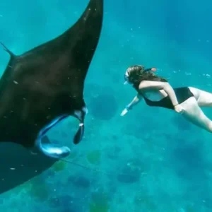 Nusa Penida Snorkeling Manta Point & West Coast Tour (From Nusa Penida)